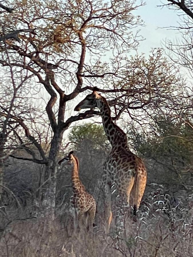 The Cheetah Rest Villa Hoedspruit Bagian luar foto