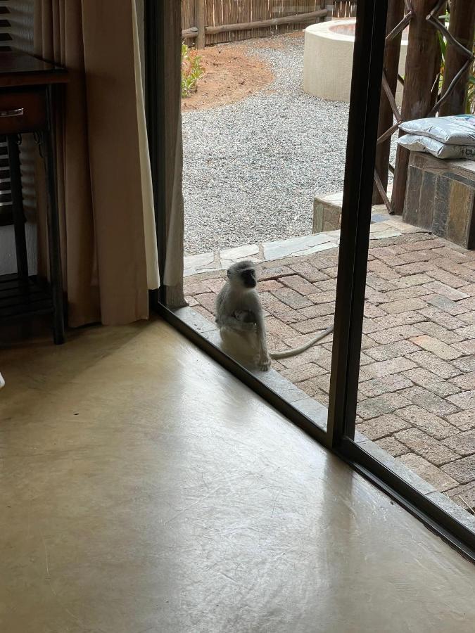 The Cheetah Rest Villa Hoedspruit Bagian luar foto