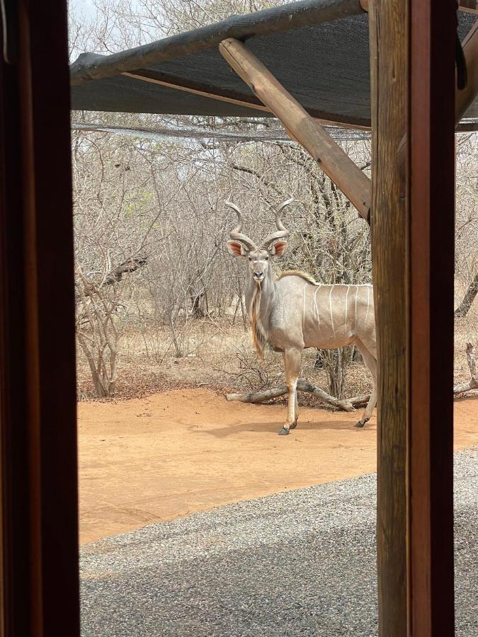 The Cheetah Rest Villa Hoedspruit Bagian luar foto